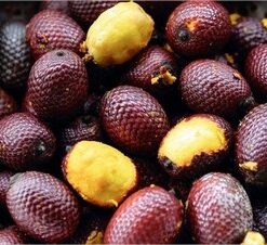 Buriti-Oel.jpg